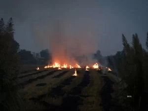 Farmers shift stubble-burning to 5 PM, outsmart satellites; new studies challenge Govt’s clean-air claims